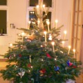 Crafting for Danish cristmas tree