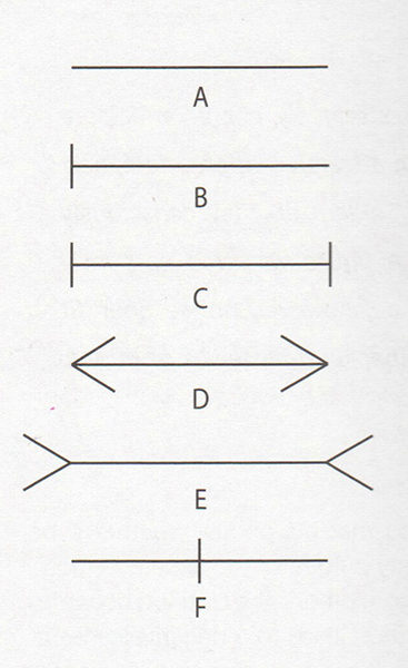 Design lines
